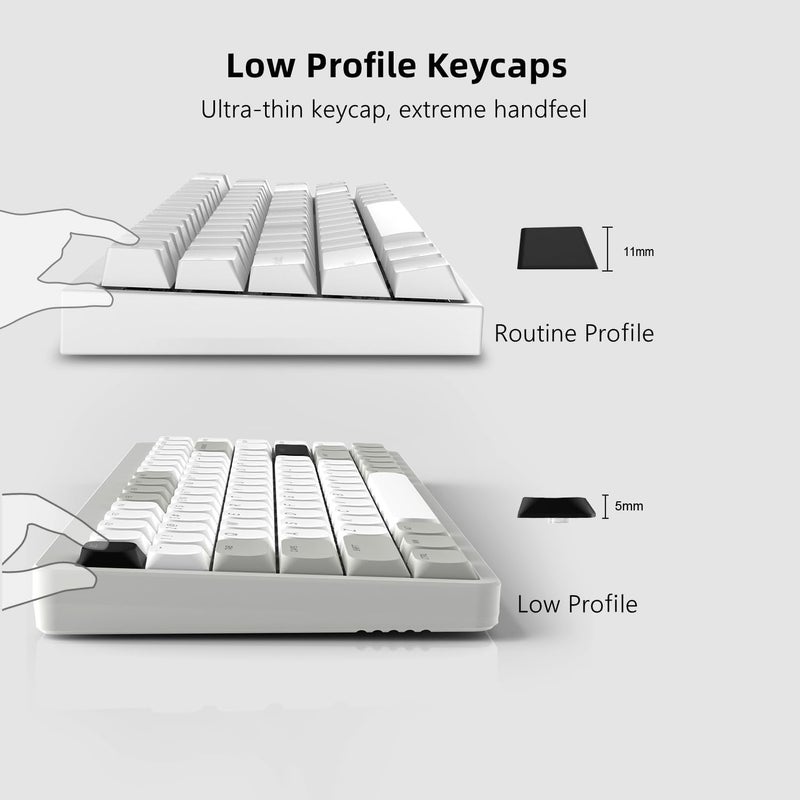 Womier Low Profile Keycaps - Shine Through Keycaps 60 65 75 100 Percent, Keyboard Key caps PBT Full Size for Cherry Gateron MX Switches Mechanical Keyboard, Grey/White - Image 2